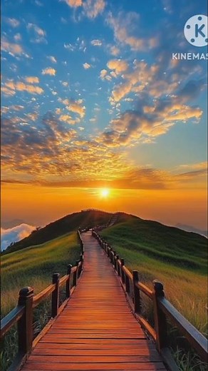 "Breathtaking Nature Moments in 30 Seconds 🌿 | Relax & Refresh"