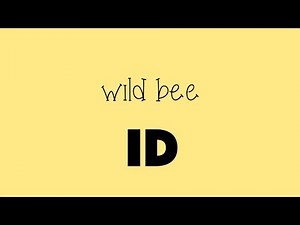 Wild Bee ID: Save bees with an app!