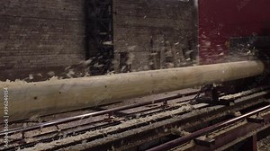 Production of round logs at the sawmill. Production of lumber from wood.