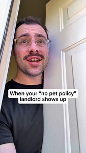 This is awkward 😅 🐢 🐢 #turtle #turtles #wildlife #animals | DanTheTurtleMan