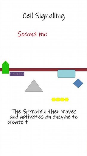 Cell Signalling | 1 Minute Biology #cambridgebiology