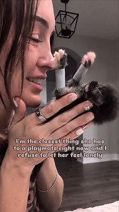 3.7K views · 100K reactions | We're best friends. #kittens #babycats #tinyfloof #babykitten #newbornkitten #bottlebabykitten #neonate #neonatalkitten #tortiekitten #floof | FosterBabyCats | Facebook