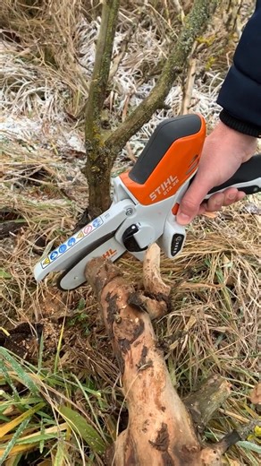 Az új vezeték nélküli hordozható elektromos láncfűrész ugyanolyan erős, mint egy benzinmotoros láncfűrész | Alexander Novak