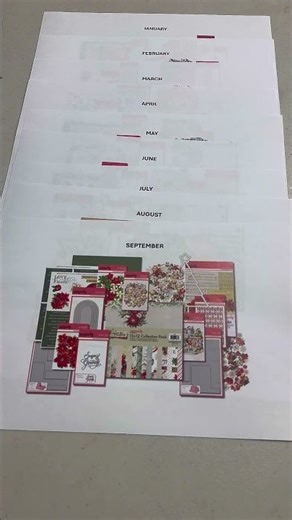 Our 2025 collections 😍 #2025 #papercraft #scrapbooking #cardmaking