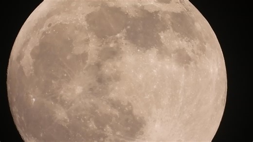 কোজাগরী লক্ষ্মী পূজার রাতে চাঁদ মামার ভিডিও আমার নিকন কুল পিক্স এ | Manaspati Deb | Facebook