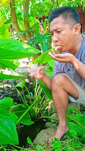Survival 101: How to get clean water in the wild! 💦 This trick could save your life... 🌲 #survival