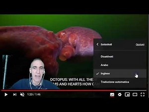 Tradurre in italiano i sottotitoli