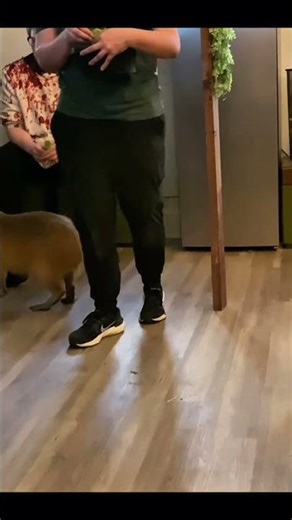 9-Month-Old Capybaras: Shocking Weight & Future Size! #shorts