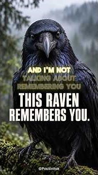 🐦‍⬛ Did You Know Ravens Can Outsmart Us? Their Intelligence Is Incredible 🤯