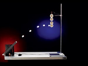 The Monkey and Hunter Demo | Arbor Scientific