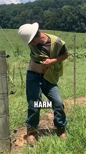 The Shocking Science Behind Electric Fences