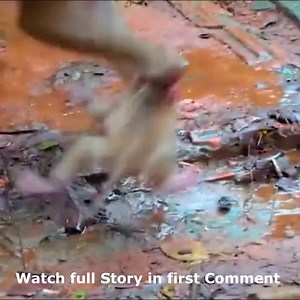 65K views · 568 reactions | The baby monkey was grabbed by the head by the mother monkey, why did the mother monkey do that Watch full Story in first comment | Cute monkey family | Facebook