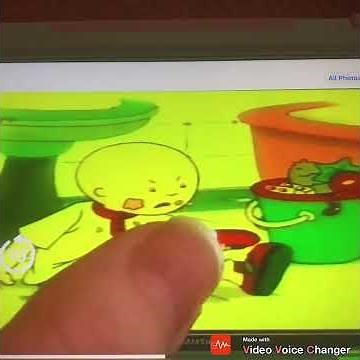 Caillou Watching Baby Einstein