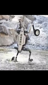 Robots cuadrupedos con ruedas | Foto Impacto