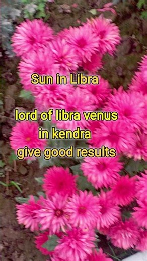 Sun in Libra #debiliatedsun #suninlibra #sun #libra #astrology #rightprediction #ytshorts