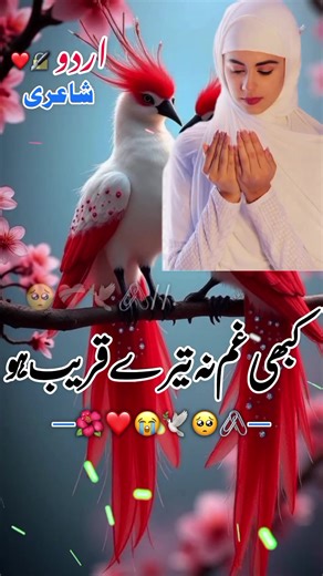 Exploring the Depths of Urdu Poetry