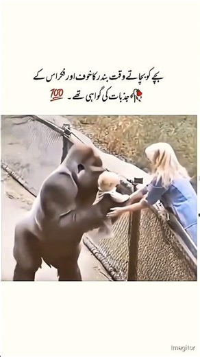 Monkey🐒 save the baby😍 #like#yt#viral#duet#ytshorts#ytviral#likes#views#monkey#save#facts#factshorts