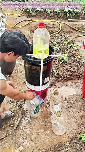 Harnessing the Flow: The Homemade Siphon's Simple Magic