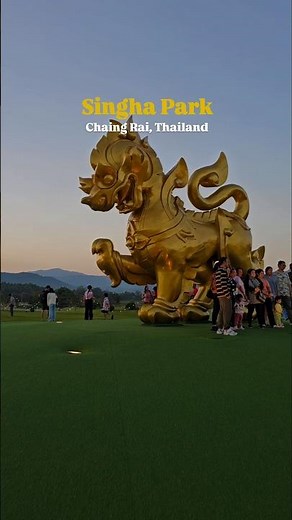 Singha Park Chiang Rai 🇹🇭 | One of Thailand’s Most Beautiful Places #shorts