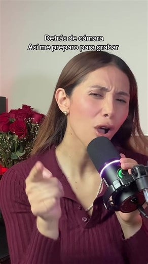 Un buen karaoke y cómo grabar en casa