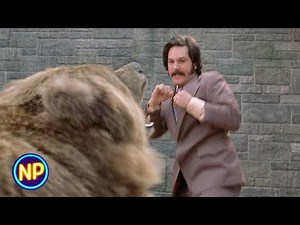Bear Fight! | Anchorman: The Legend of Ron Burgundy