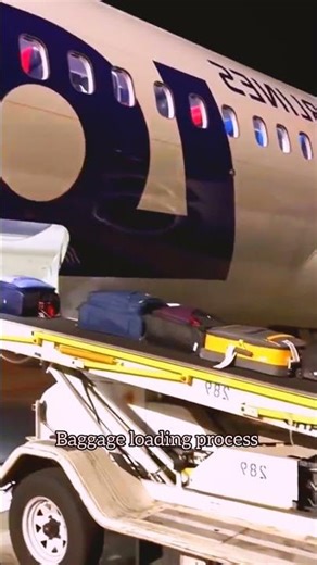 How to load baggage in small Plane|Plane loading