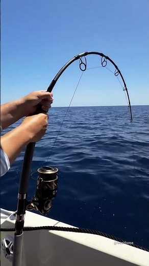 Battle with a Deep-Sea Giant: Offshore Yellowfin Tuna Landing #fish #fishing #ocean #deepblue