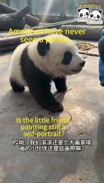 The Healing Daily Life of a Giant Panda: The Happy Days of Adorable "Gungun" #giantpanda #panda