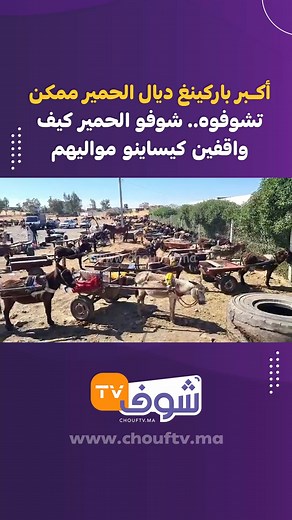 Chouf TV on Reels