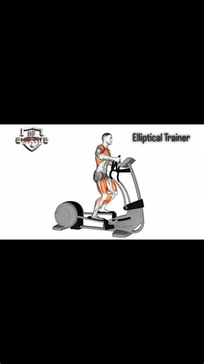 Elliptical Trainer Machine