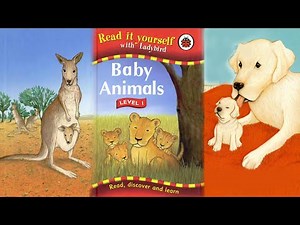 Baby Animals | Kid's book | Storytime | Read Aloud