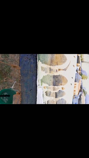 Nick Poullis on Reels