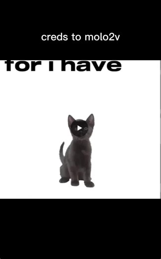 testing/code (@testingcode1)’s videos with original sound - testing/code