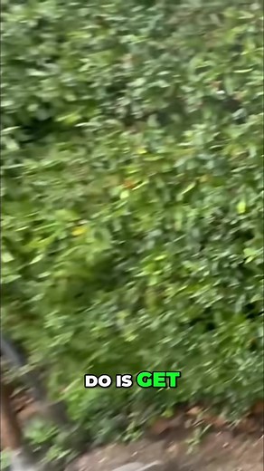 #dandjprojects #youtube #likeaboss #killingit #livingmybestlife @D&J Projects Ltd @David Djprojects Whi @Finn Atkin @jords