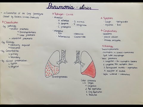Pneumonia - types, classification, histology, clinics