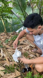 59K views · 491 reactions | DIY bottle trap fishing technique | Buddydik tv | Facebook