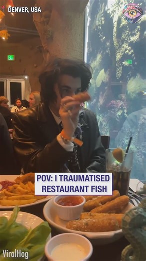 This fishy needs therapy🐟 | Bright Side