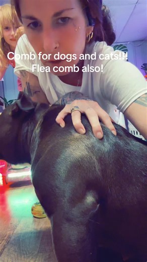 Effective Flea Comb for Dogs and Cats