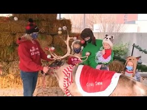 Foellinger-Freimann Botanical Conservatory gets ready for the holidays