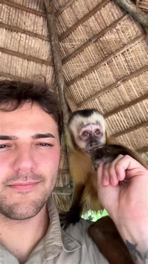 Paul Cuffaro on Instagram: "Touring my friend @jacobfeder_ zoo! From small monkeys to massive jaguars he’s got it all! Check out my YouTube channel for the full episode! #animals #privatezoo"