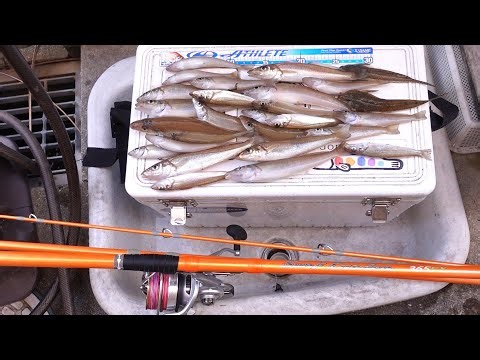 サーフでキスの投げ釣り開幕戦！！