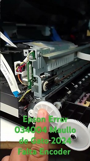 Epson Error 034004 Cat Meow 2024 Encoder Missing