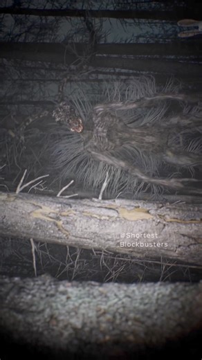 181K views · 1.7K reactions | // Shortest Blockbusters  -/ youtube.com/@ShortestBlockbusters | Team Loco | Facebook