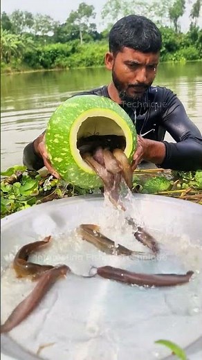 Best Fish Traps Ever! (Must See) #fishing #fish