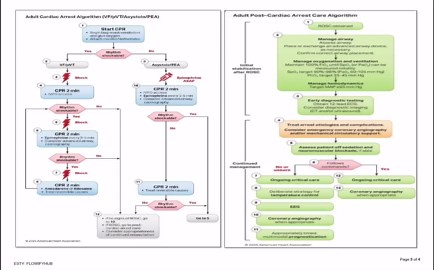 Code Blue Recording Sheets (instant Download, PDF, A4 Landscape, 4 Pages) - Etsy