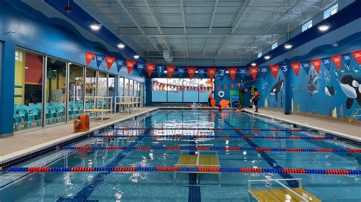 Looking for swim classes? Edibles? Try these new North Jersey sites