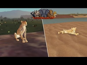 New Cheetah Update in Savannah Life ⏐ Roblox 🐆
