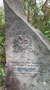 The Caledon Trailway spans 35 km across Caledon, from Terra Cotta to Palgrave, following an abandoned rail line built in 1877. This mostly flat, gravel pathway makes for an ideal family-friendly bike ride or leisurely walk. Along the way, you'll be treated to a stunning mix of forest, fields and waterways with plenty of opportunities to spot local wildlife. Whether you're cycling, walking or even horseback riding, this historic route offers a perfect blend of nature and history. 📍 Explore it fu