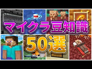[Minecraft] 50 Trivia and Tips! [Tips and Tricks]
