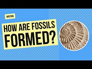 How Are Fossils Formed? | Writing and Science Activity